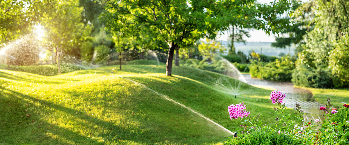 Automatic garden watering system with different sprinklers installed under turf. Landscape design with lawn hills and fruit garden irrigated with smart autonomous sprayers at sunset evening time.